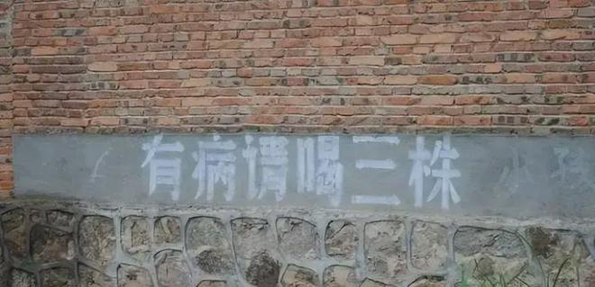 跌落神坛的五大保健品全都是妥妥的智商税开云体育 开云官网你吃过几种？(图14)