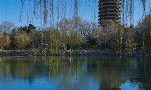 开云 开云体育平台2023医疗设备行业发展现状调研分析(图4)