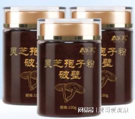 开云 开云体育官网灵芝孢子品牌十大排名你