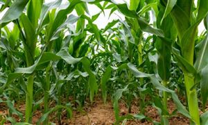 中国健康保开云APP 开云官网入口健器材产业发展及未来市场机会(图2)