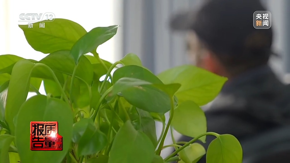 每周质量报告开云体育 开云平台丨普通食品包装成“神药” 涉老保健品虚假宣传何时休?(图14) 每周质量报告开云体育 开云平台丨普通食品包装成“神药” 涉老保健品虚假宣传何时休?(图14)