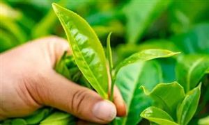 保健用品发展趋势 2022保健用品行业前景及现状分析(图2)
